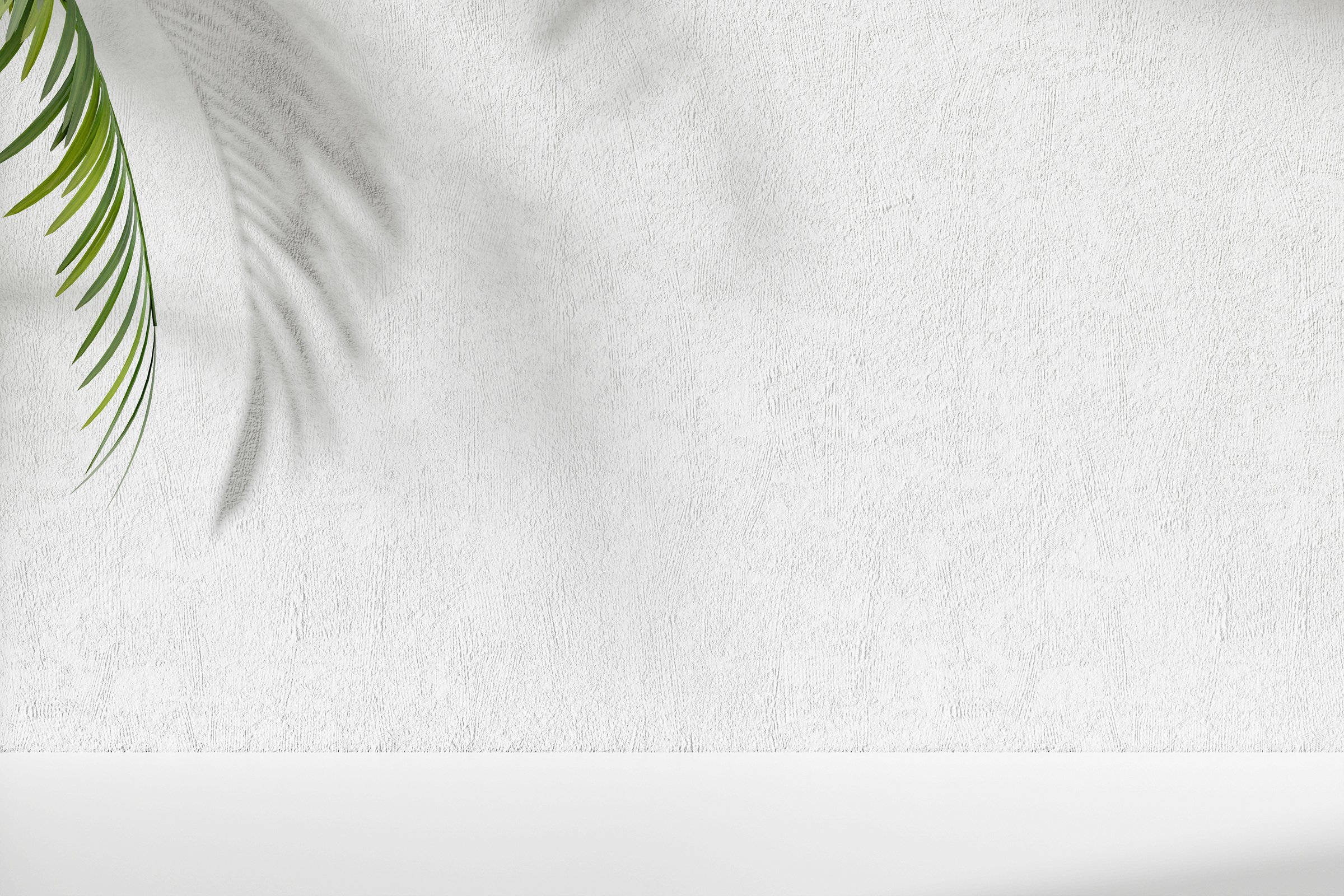 Stone Background with Palm Leaf